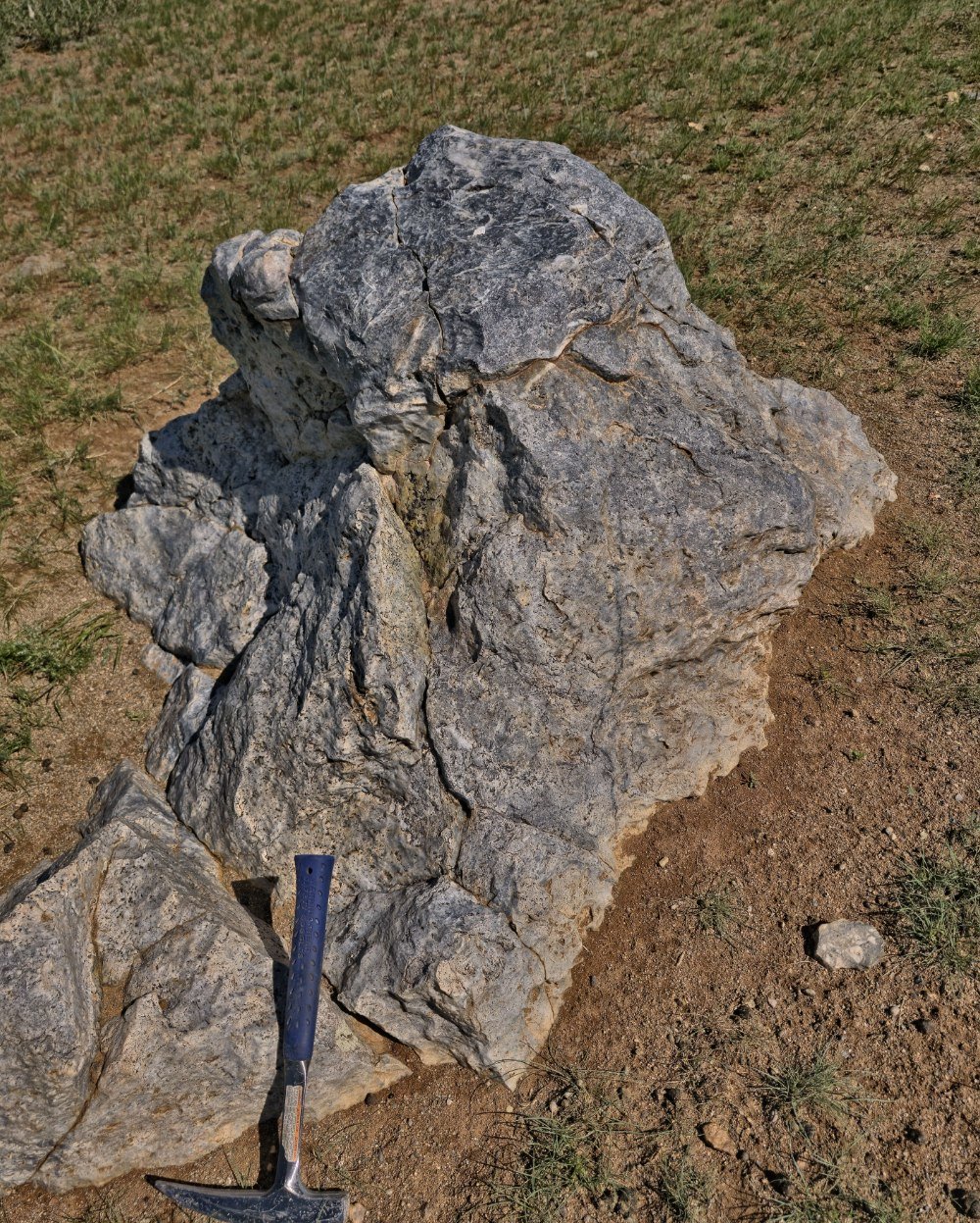 Silicified outcrop block, hammer for scale
