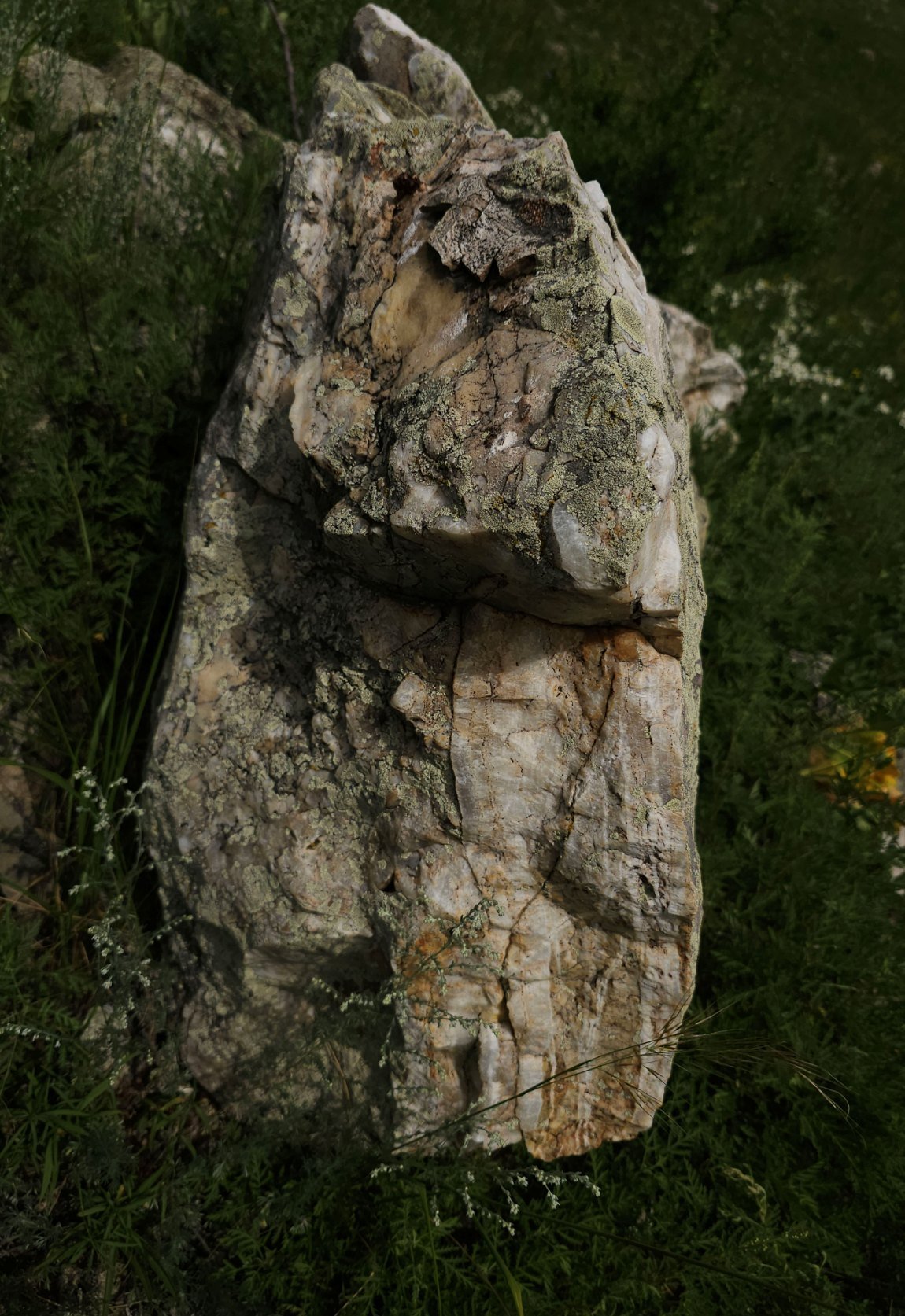 Tabular quartz vein rib standing proud of grass