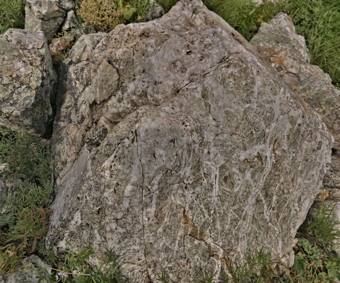 Anastomosing quartz stockwork