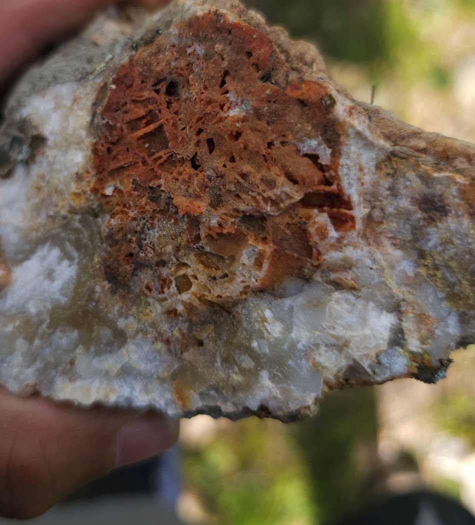 Limonite boxwork after sulfide in vein quartz