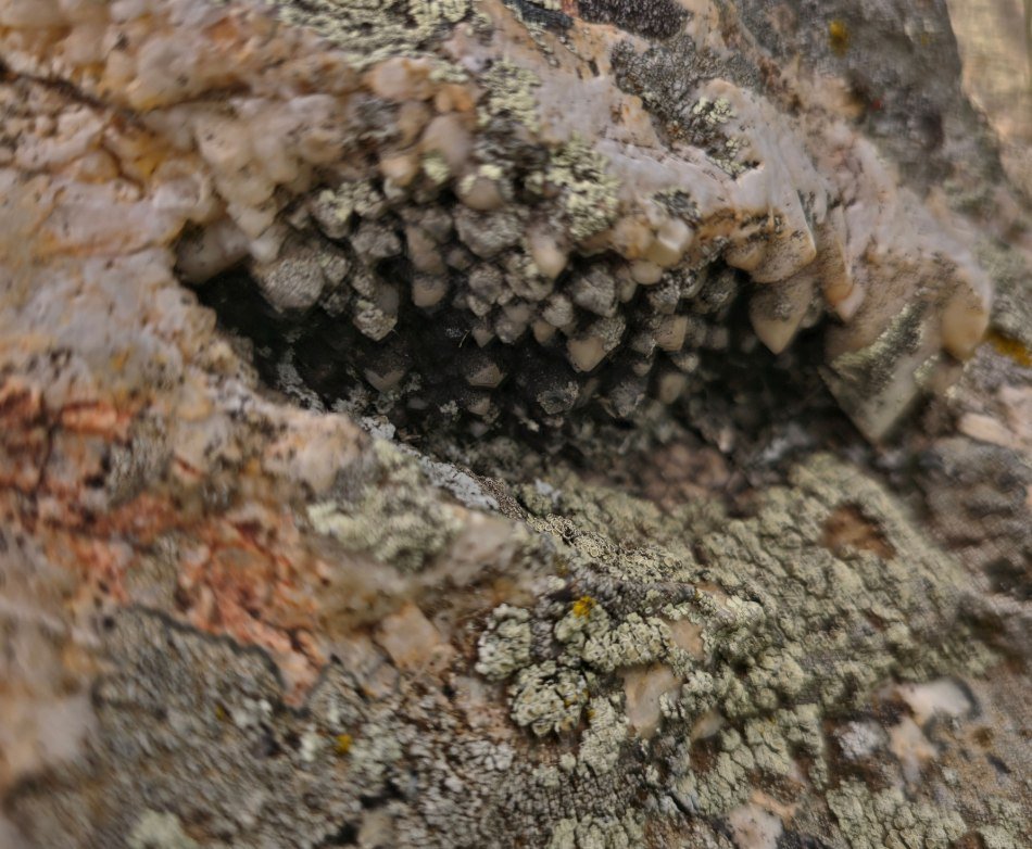 Open vug lined with drusy quartz crystals